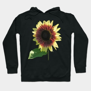 Sunflowers - Sunflower Ring of Fire Hoodie